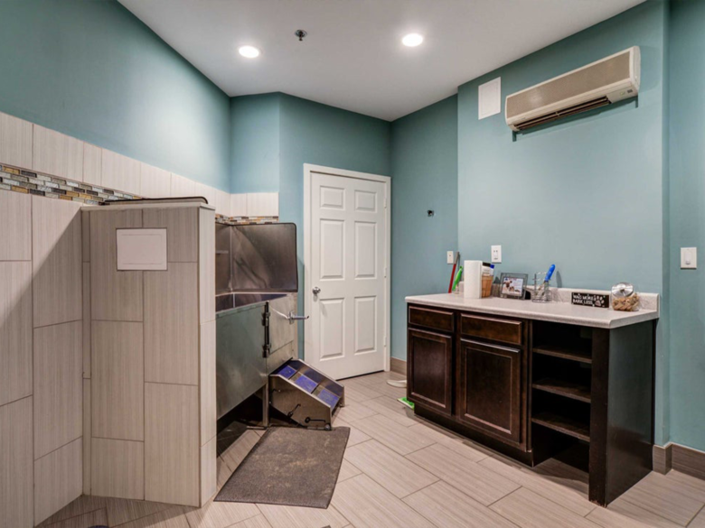 pet wash station