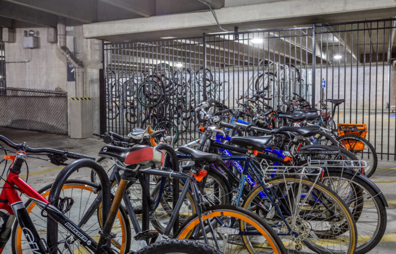 bikes